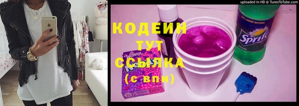 тгк Абаза