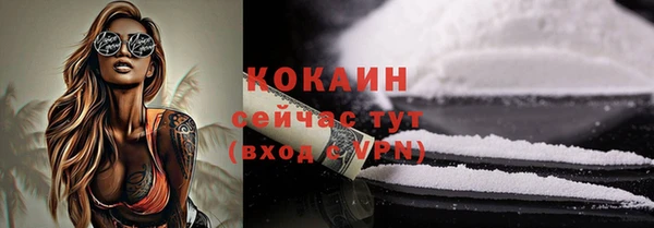 тгк Абаза