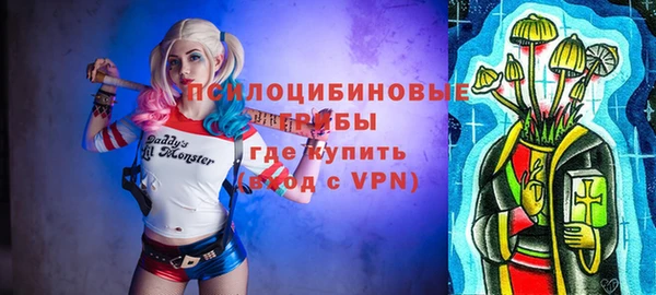 2c-b Рославль
