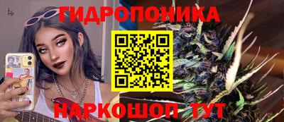 PSILOCYBIN Пугачёв