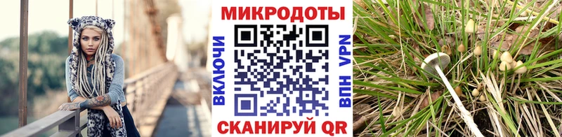 Галлюциногенные грибы прущие грибы Россошь