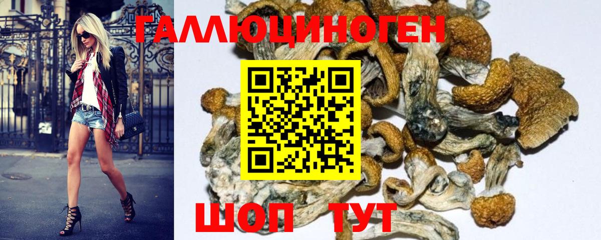 Россошь  Галлюциногенные грибы Psilocybe  купить наркоту  Вход с VPN 