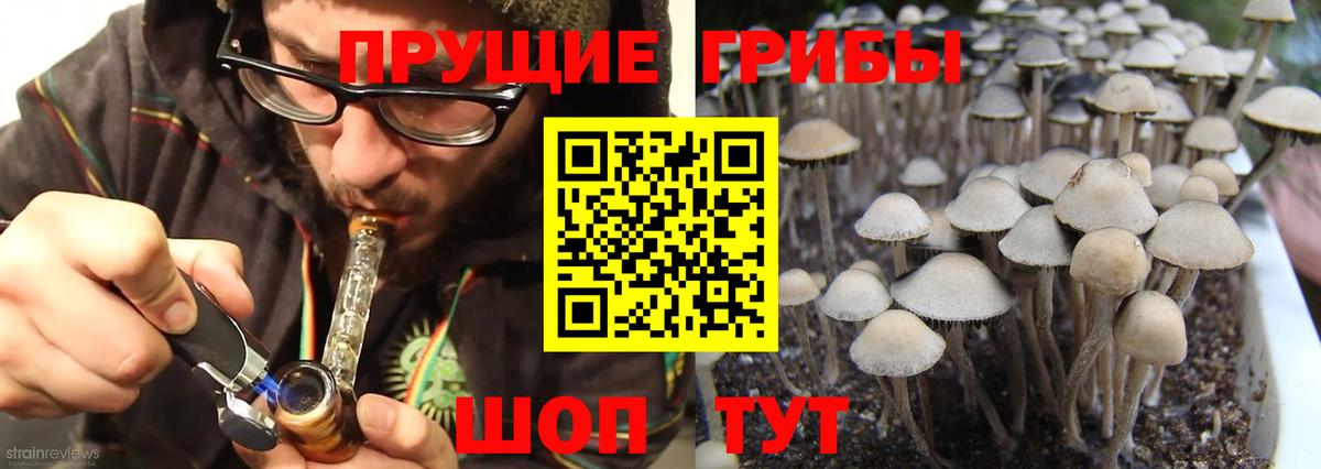 Галлюциногенные грибы MAGIC MUSHROOMS Россошь